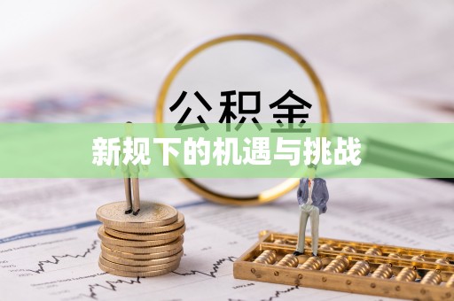 辰溪新规下的机遇与挑战