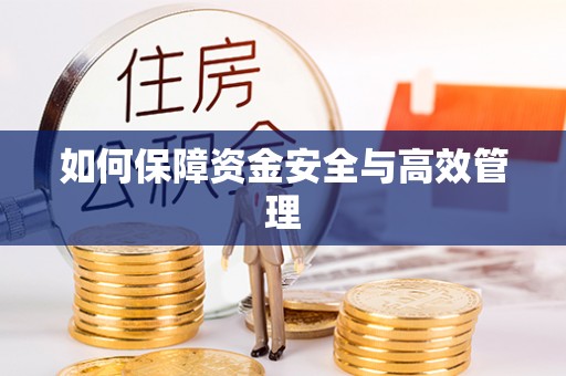 辰溪如何保障资金安全与高效管理