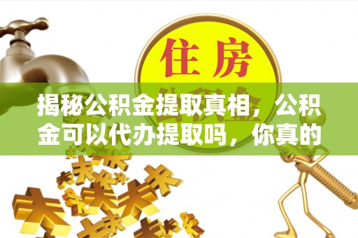 辰溪揭秘公积金提取真相，公积金可以代办提取吗，你真的了解吗？