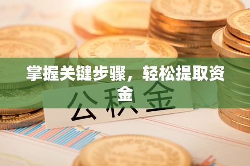 辰溪掌握关键步骤，轻松提取资金