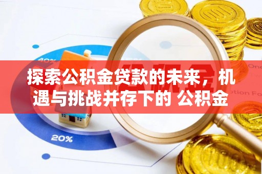 辰溪探索公积金贷款的未来，机遇与挑战并存下的 公积金贷款风险防控