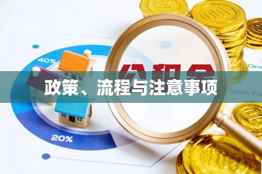辰溪政策、流程与注意事项