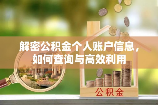 辰溪解密公积金个人账户信息，如何查询与高效利用