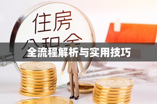 辰溪全流程解析与实用技巧