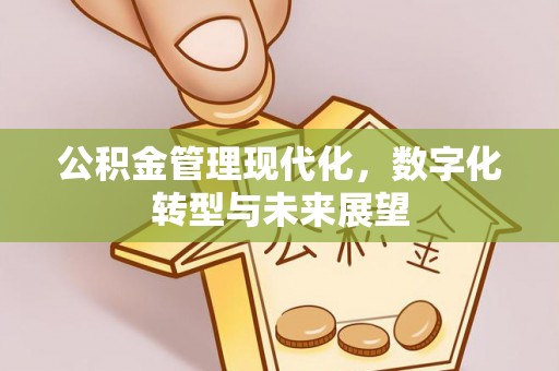 辰溪公积金管理现代化，数字化转型与未来展望