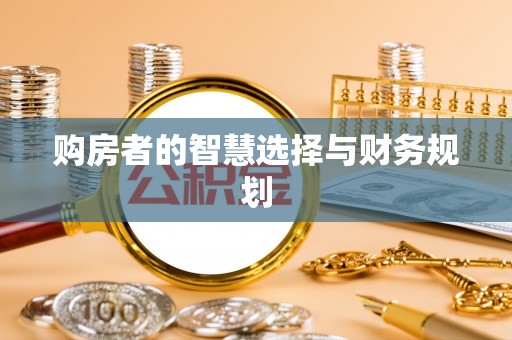 辰溪购房者的智慧选择与财务规划