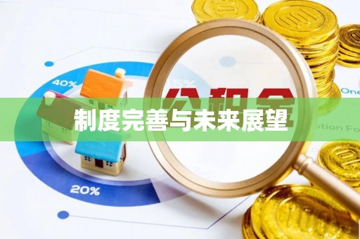 辰溪制度完善与未来展望