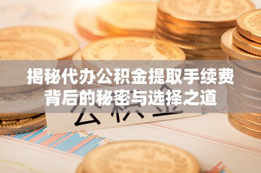 辰溪揭秘代办公积金提取手续费背后的秘密与选择之道