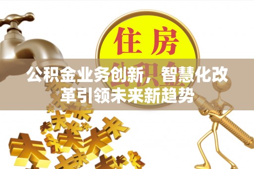 辰溪公积金业务创新，智慧化改革引领未来新趋势