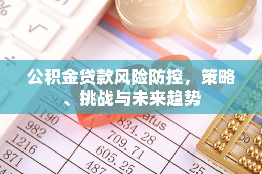 辰溪公积金贷款风险防控，策略、挑战与未来趋势