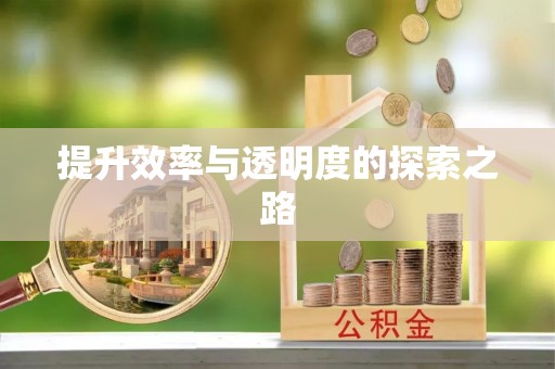 辰溪提升效率与透明度的探索之路