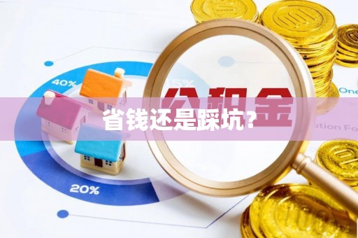 辰溪省钱还是踩坑？