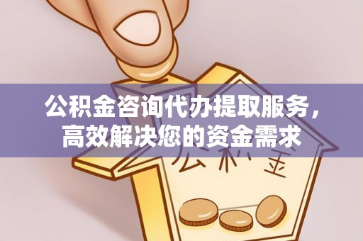 辰溪公积金咨询代办提取服务，高效解决您的资金需求