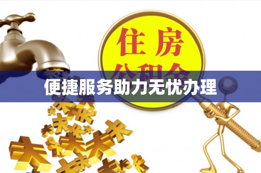 辰溪便捷服务助力无忧办理