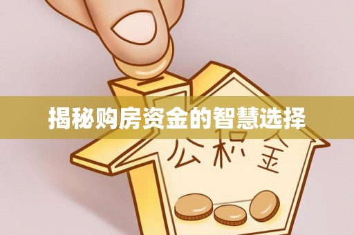 辰溪揭秘购房资金的智慧选择