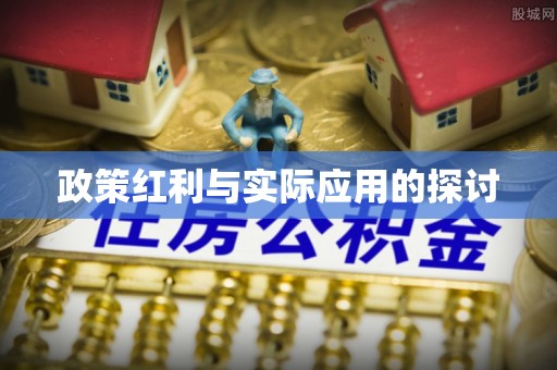 辰溪政策红利与实际应用的探讨