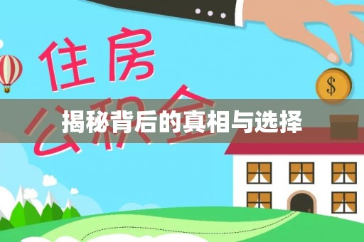 辰溪揭秘背后的真相与选择