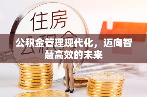 辰溪公积金管理现代化，迈向智慧高效的未来