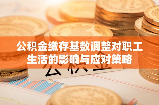 辰溪公积金缴存基数调整对职工生活的影响与应对策略