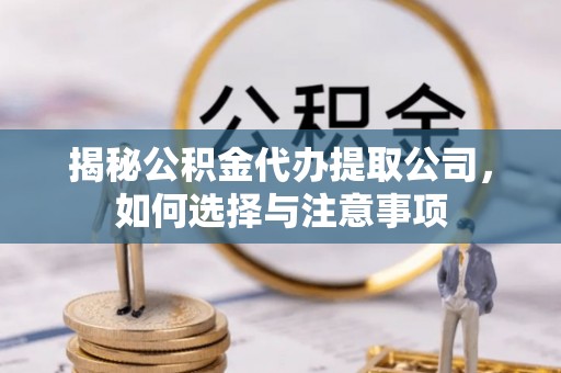 辰溪揭秘公积金代办提取公司，如何选择与注意事项