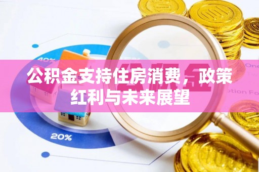 辰溪公积金支持住房消费，政策红利与未来展望