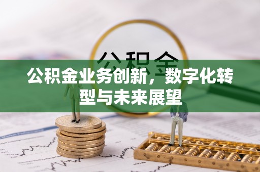 辰溪公积金业务创新，数字化转型与未来展望