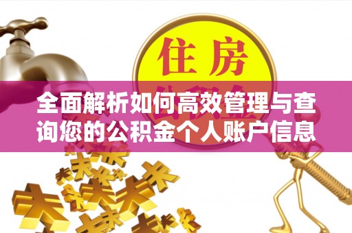 辰溪全面解析如何高效管理与查询您的公积金个人账户信息