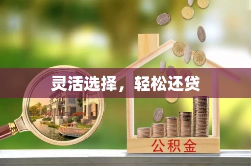 辰溪灵活选择，轻松还贷