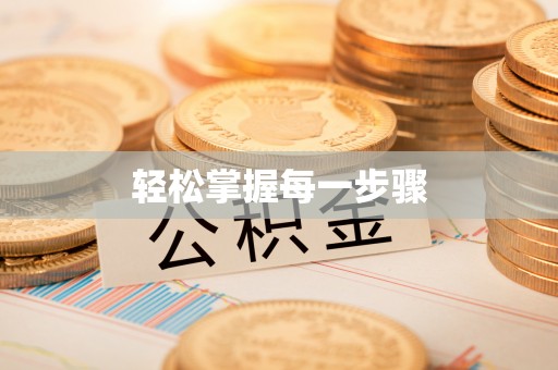辰溪轻松掌握每一步骤