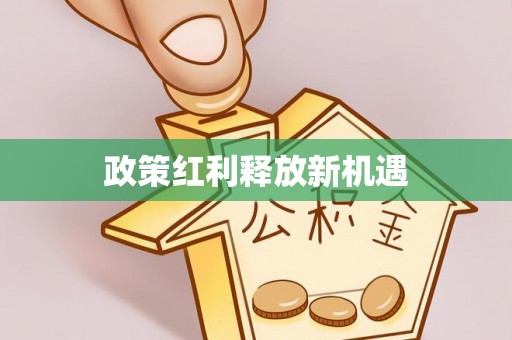 辰溪政策红利释放新机遇