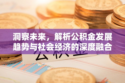 辰溪洞察未来，解析公积金发展趋势与社会经济的深度融合