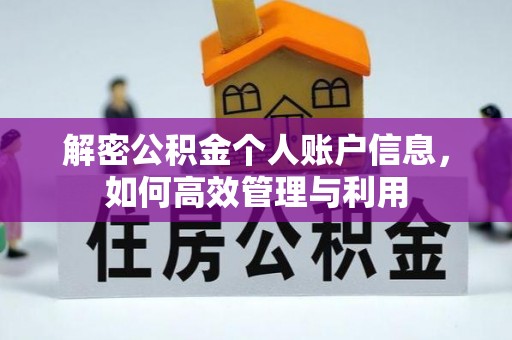 辰溪解密公积金个人账户信息，如何高效管理与利用