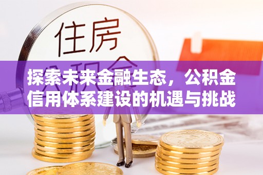 辰溪探索未来金融生态，公积金信用体系建设的机遇与挑战