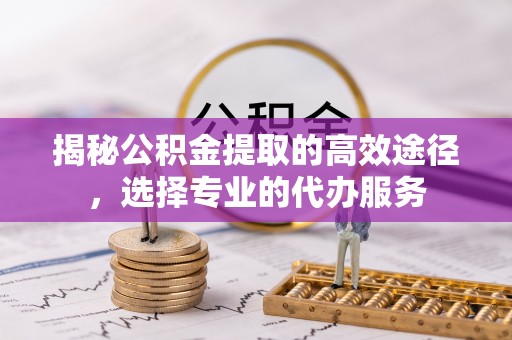 辰溪揭秘公积金提取的高效途径，选择专业的代办服务