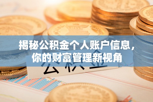 辰溪揭秘公积金个人账户信息，你的财富管理新视角