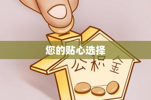辰溪您的贴心选择