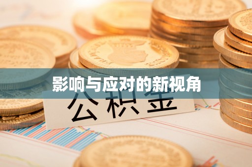 辰溪影响与应对的新视角