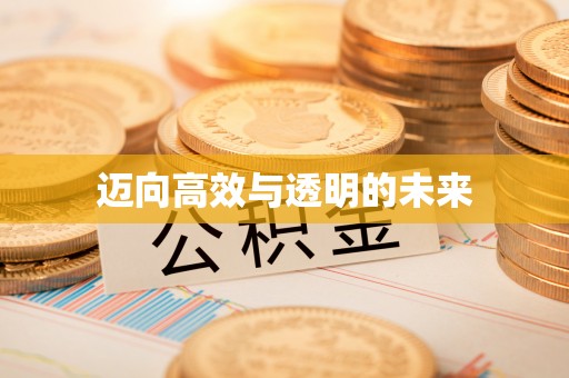 辰溪迈向高效与透明的未来