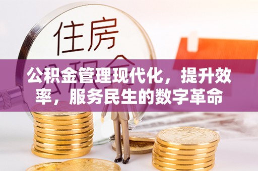 辰溪公积金管理现代化，提升效率，服务民生的数字革命