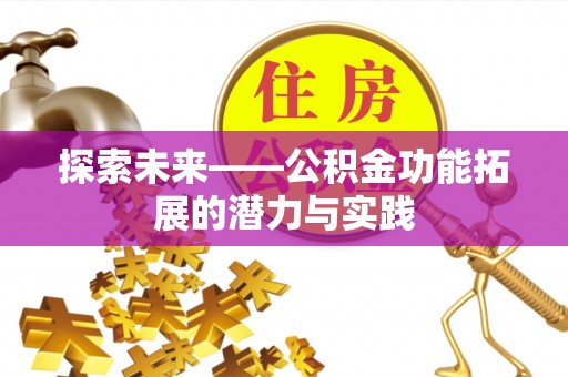 辰溪探索未来——公积金功能拓展的潜力与实践