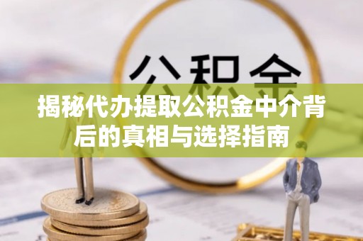 辰溪揭秘代办提取公积金中介背后的真相与选择指南