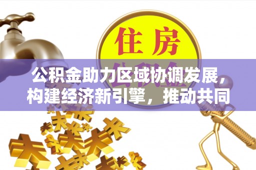 辰溪公积金助力区域协调发展，构建经济新引擎，推动共同富裕