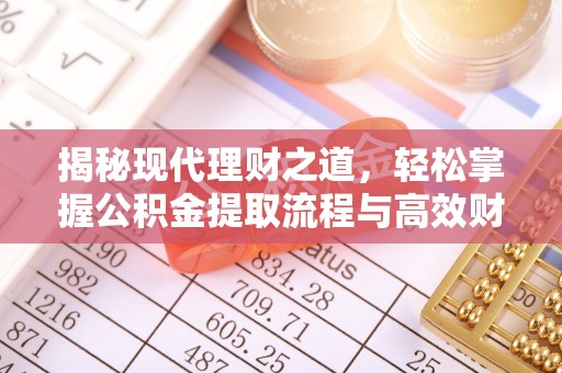 辰溪揭秘现代理财之道，轻松掌握公积金提取流程与高效财务规划