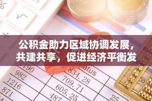 辰溪公积金助力区域协调发展，共建共享，促进经济平衡发展