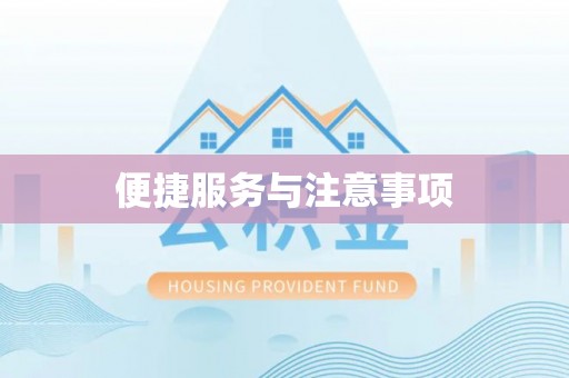 辰溪便捷服务与注意事项