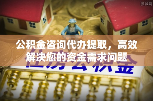 辰溪公积金咨询代办提取，高效解决您的资金需求问题