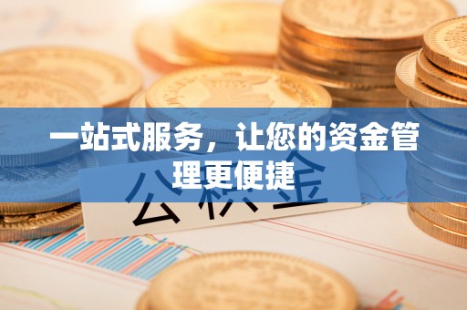 辰溪一站式服务，让您的资金管理更便捷