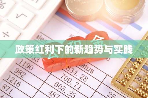辰溪政策红利下的新趋势与实践
