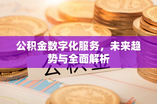辰溪公积金数字化服务，未来趋势与全面解析