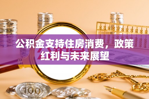 辰溪公积金支持住房消费，政策红利与未来展望